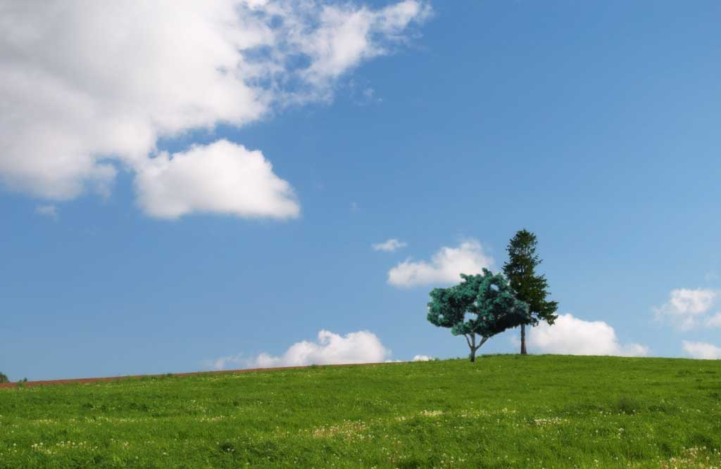 名古屋市　中川区　メンタルクリニック　写真:木々　カウンセリング